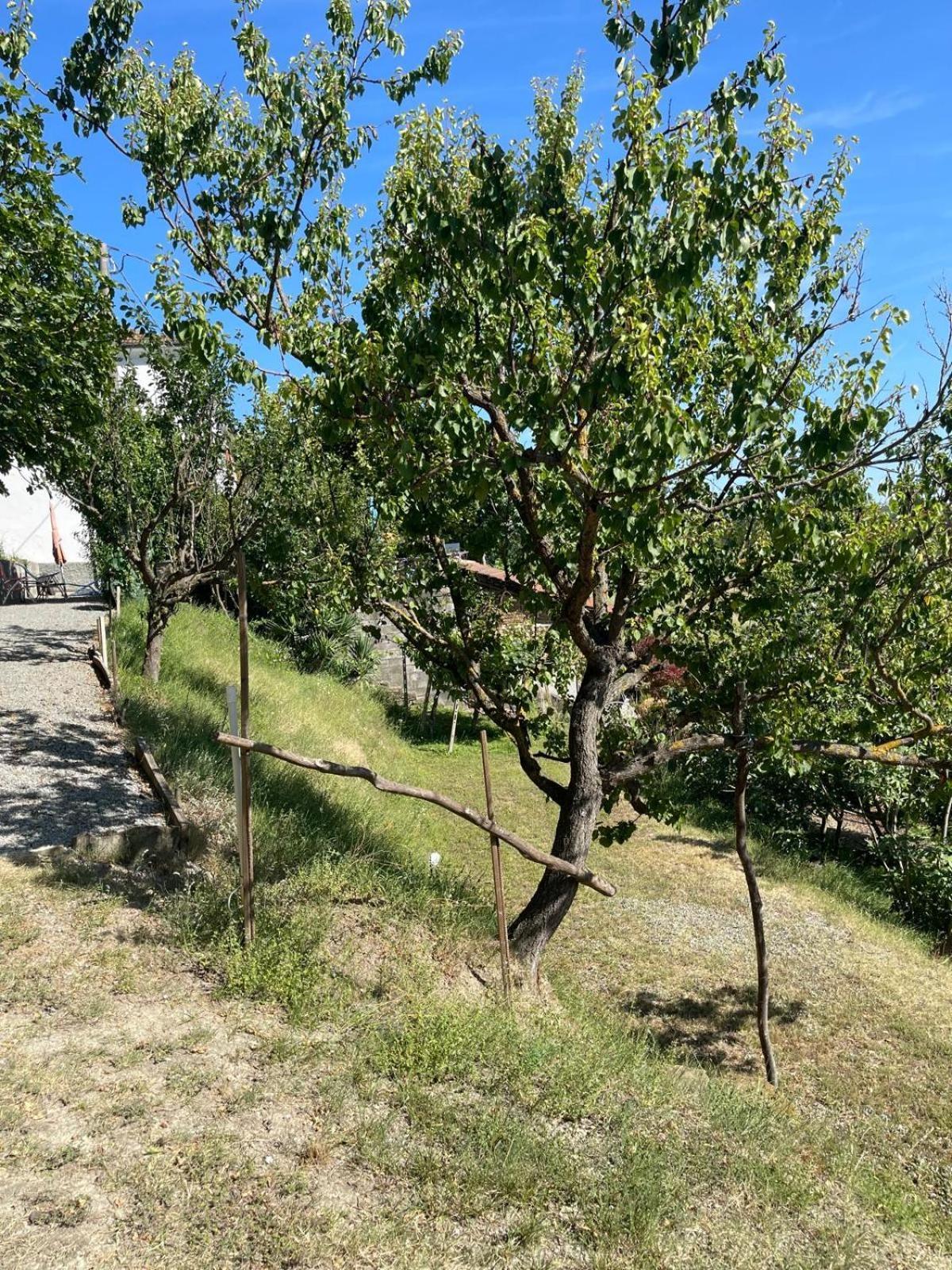 Casa Petra - Casa Tre Stelle - Casa Caneva - Ferien Fuer 6-14 Personen Ponti Luaran gambar